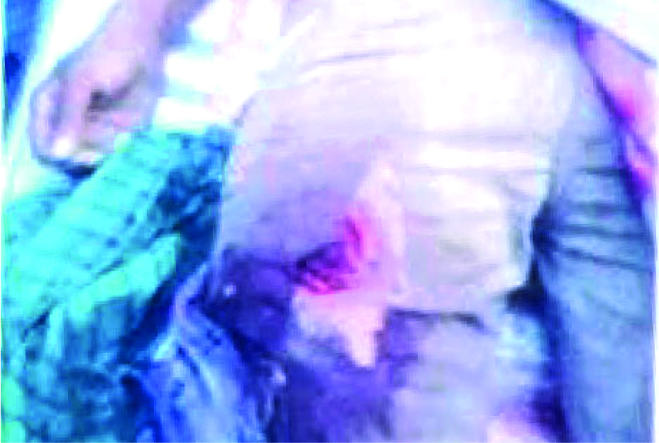 Image of তামিন হৃদয়